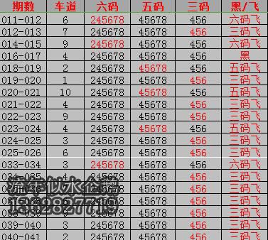 2024新澳开奖结果+开奖记录,探索新澳开奖结果及开奖记录，一场充满期待的冒险之旅