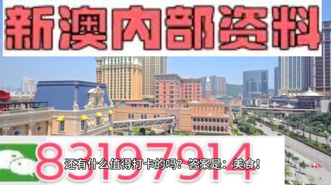 新粤门六舍彩资料免费,新粤门六舍彩资料免费，探索与解析