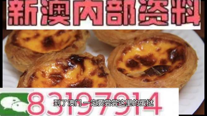 新澳门资料大全正版资料2024年免费下载,关于新澳门资料大全正版资料2024年免费下载的探讨——警惕违法犯罪风险