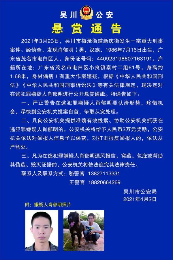 澳门一肖一特100精准免费,澳门一肖一特与犯罪问题探讨，精准预测并非免费之事