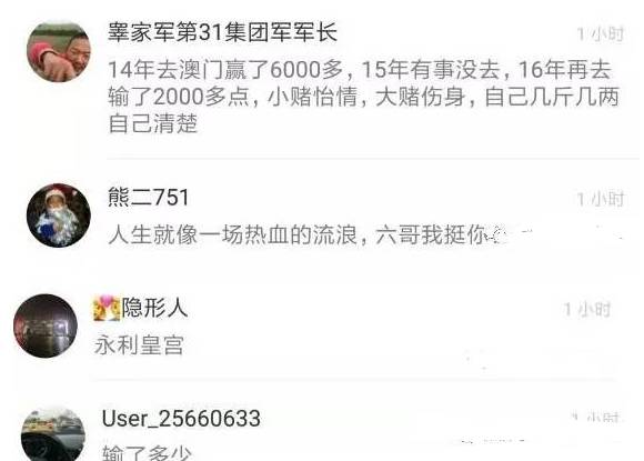 新澳门六2004开奖记录,警惕网络赌博，新澳门六2004开奖记录的背后真相