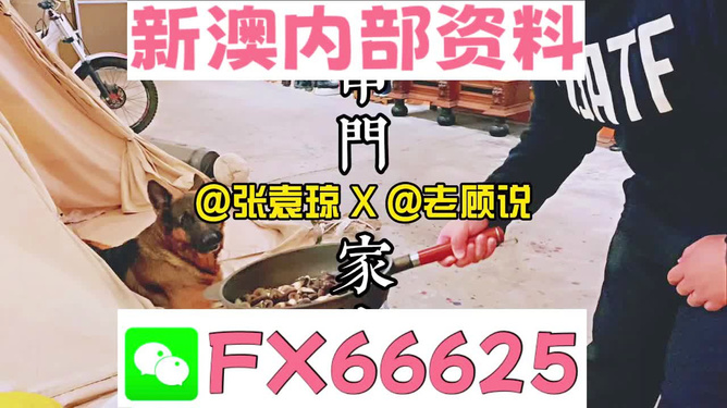 新澳门精准资料大全管家婆料,警惕新澳门精准资料大全管家婆料——揭露相关活动的违法本质