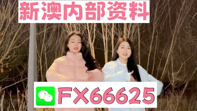 管家婆一码一肖100准,关于管家婆一码一肖100%准确的真相探究——揭示背后的风险与犯罪性质