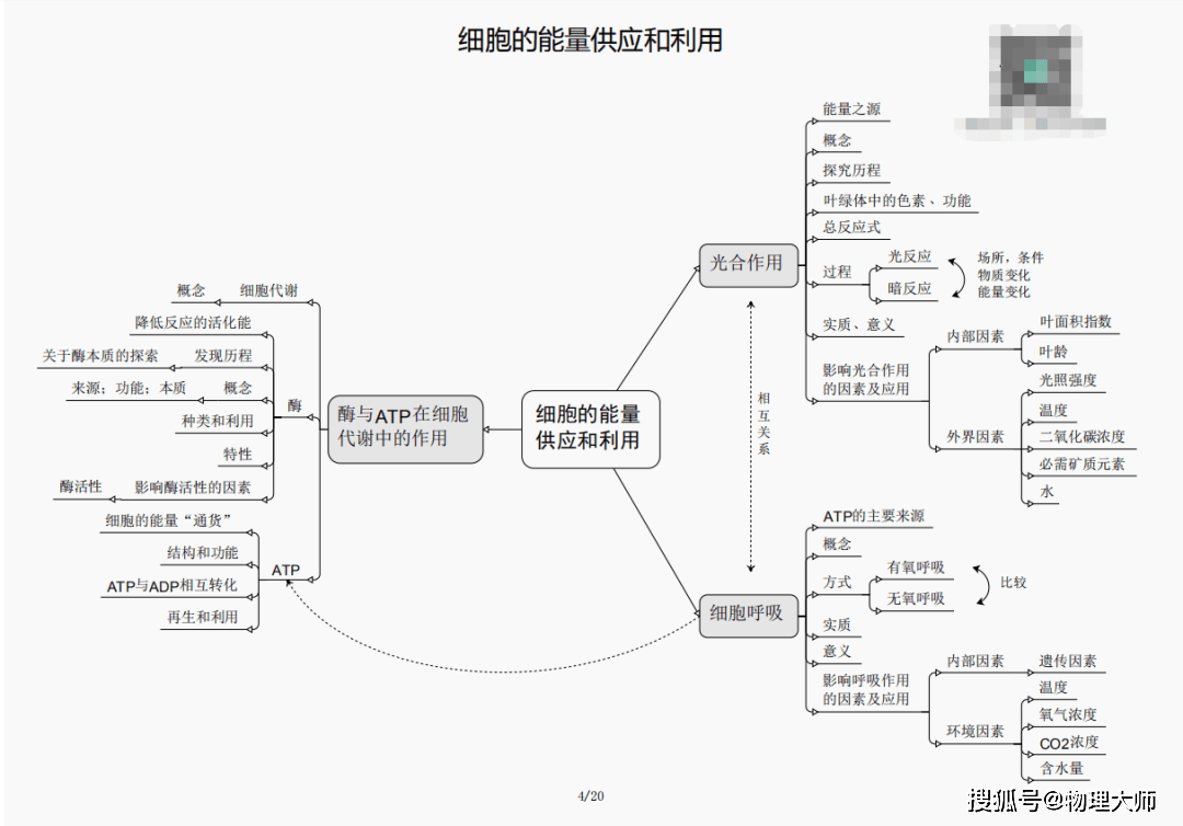 新澳门黄大仙三期必出,关于新澳门黄大仙三期必出的真相探讨——揭开违法犯罪的真相