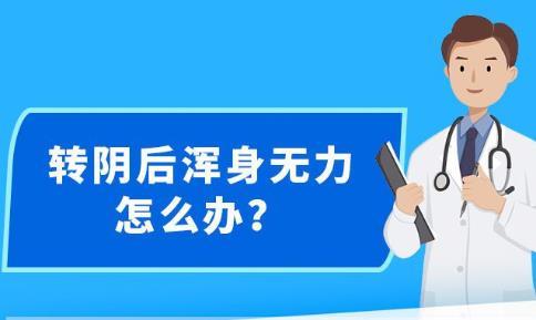 新澳最精准免费资料大全298期,警惕网络陷阱，新澳最精准免费资料大全背后的风险与挑战