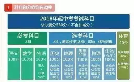 新奥门免费资料大全的特点,新澳门免费资料大全的特点，深度解析与体验分享