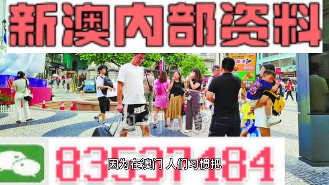 新澳门2024年资料大全管家婆,新澳门2024年资料大全管家婆，探索未来的机遇与挑战