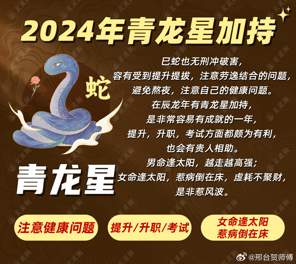 新澳2024一肖一码道玄真人,关于新澳2024一肖一码道玄真人的探讨——一个关于违法犯罪问题的探讨