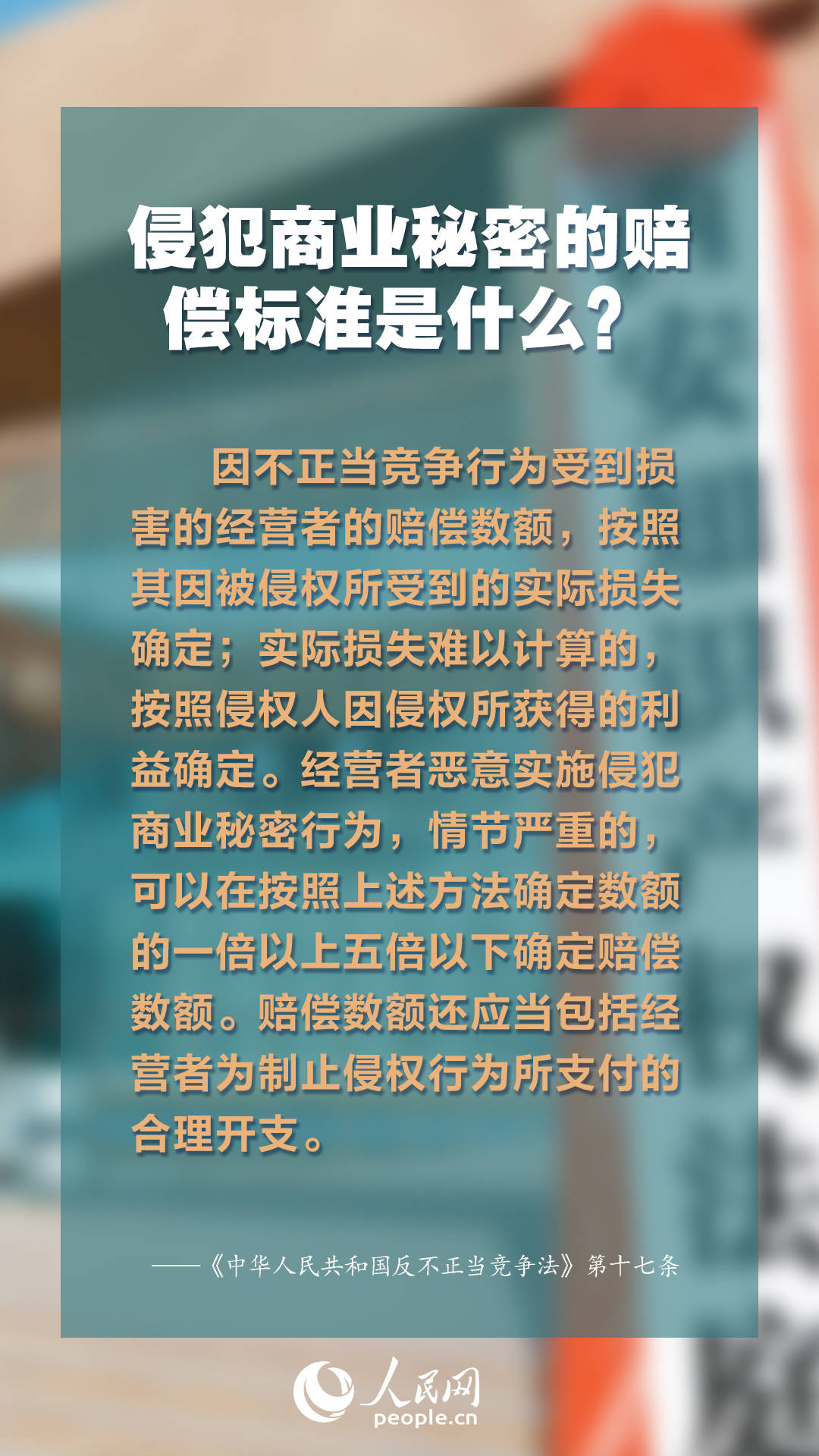 2024年正版资料免费大全特色,探索未来知识宝库，2024正版资料免费大全特色展望