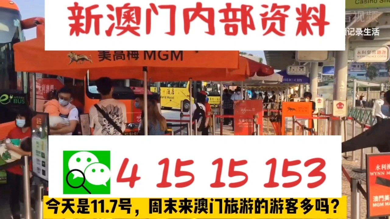 澳门中特网的网站,澳门中特网的网站，探索与理解