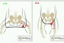 全车改装套件 第101页