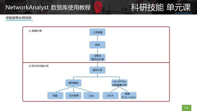 内部4肖4码,具象化表达解说_定制版72.940