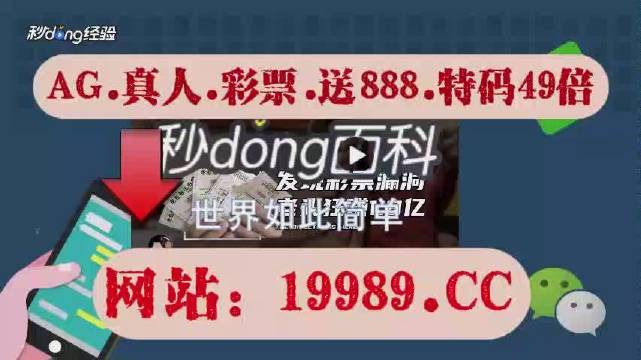 2024澳门天天六开彩开奖结果,多元化诊断解决_零售版42.347