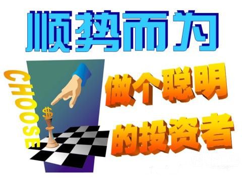 管家婆资料精准一句真言|真诚释义解释落实,管家婆资料精准一句真言，真诚释义、解释与落实