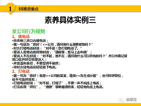 新澳六叔精准资料4988|稳健释义解释落实,新澳六叔精准资料与稳健释义，落实的重要性