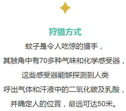 江左梅郎中特资料大全更新时间|理解释义解释落实,江左梅郎中特资料大全，更新时间的理解与释义解释落实的重要性