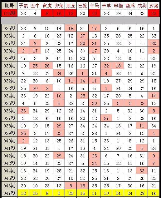 白小姐今晚特马期期准六|不同释义解释落实,白小姐今晚特马期期准六，不同释义下的解释与落实