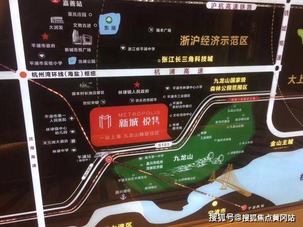 2024澳门四不像图最新消息|质地释义解释落实,关于澳门四不像图最新消息与质地的释义解释及落实的探讨