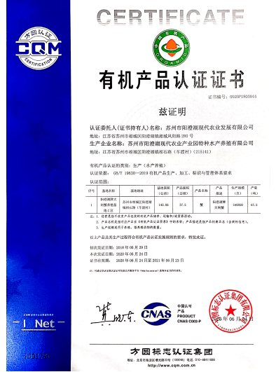 新奥门特免费资料大全火凤凰|处理释义解释落实,新澳门特免费资料大全火凤凰，处理释义解释落实