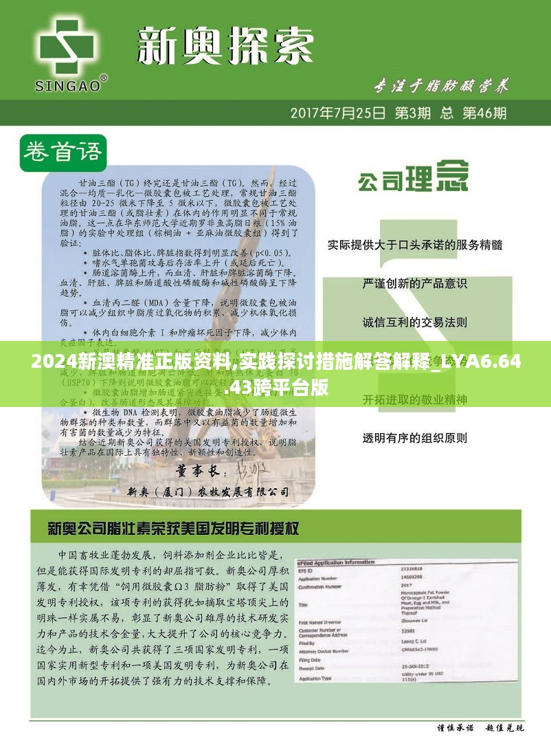 新澳2024年正版资料|新兴释义解释落实,新澳2024年正版资料与新兴释义的落实，深度解析与实践指南