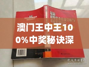 澳门王中王100%期期中|环境释义解释落实,澳门王中王与环境释义解释落实，深度探讨与理解