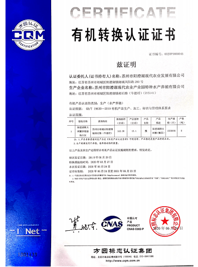 新奥门特免费资料大全管家婆|国际释义解释落实,新澳门特免费资料大全与管家婆，国际释义解释及其实践落实