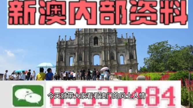 新澳2024资料大全免费|乐观释义解释落实,新澳2024资料大全免费与乐观释义的落实解析